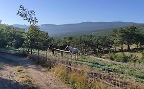 Appartement avec terrasse dans un domaine agricole